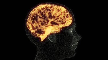 Beynin nasıl çalıştığını. Sinapslar ve nöronlar. Bağlantılar. Beyninle, uyarıcılarınla ve fikirlerinle ilgilen. Dejeneratif hastalıklar, Parkinson ve Alzheimer. 3d oluşturma