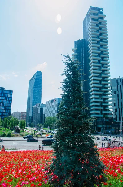Biblioteca degli Alberi 'den (BAM) görülen Solaria Kulesi manzarası, Piazza Gae Aulenti ile Isola ilçesi arasında yer alan park. 05-09-2022. Çiçekli tarlalar. Milan mı? İtalya