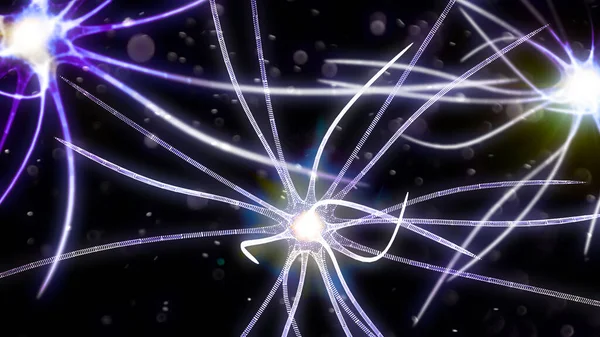 Synapse Connections Structure Permits Neuron Nerve Cell Pass Electrical Chemical — Stok fotoğraf