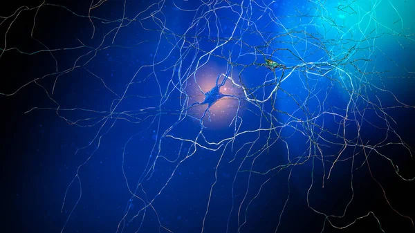 シナプス結合だ 神経細胞 または神経細胞 が電気的または化学的信号を別の神経細胞または標的細胞に渡すことを可能にする構造 神経系だ 3Dレンダリング 神経細胞の神経回路 — ストック写真