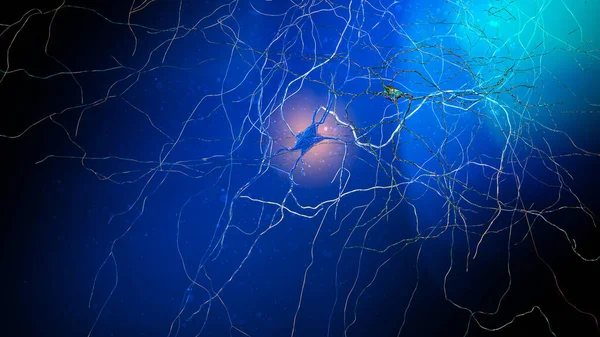 Synapse Verbindingen Structuur Die Het Mogelijk Maakt Dat Een Neuron — Stockfoto