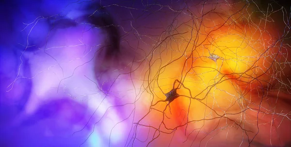 突触连接 使神经元 或神经细胞 向另一个神经元或目标输出细胞传递电或化学信号的结构 神经紧张系统 3D渲染 神经元的神经网络电路 — 图库照片