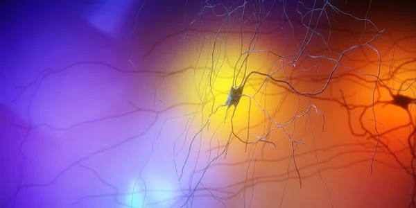 突触连接 使神经元 或神经细胞 向另一个神经元或目标输出细胞传递电或化学信号的结构 神经紧张系统 3D渲染 神经元的神经网络电路 — 图库照片