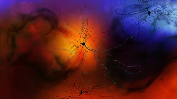 Synapse Connections Structure Permits Neuron Nerve Cell Pass Electrical Chemical — Fotografia de Stock