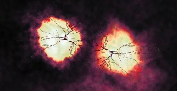 Связи Синапсами Структура Позволяющая Нейрону Нервной Клетке Передавать Электрический Химический — стоковое фото