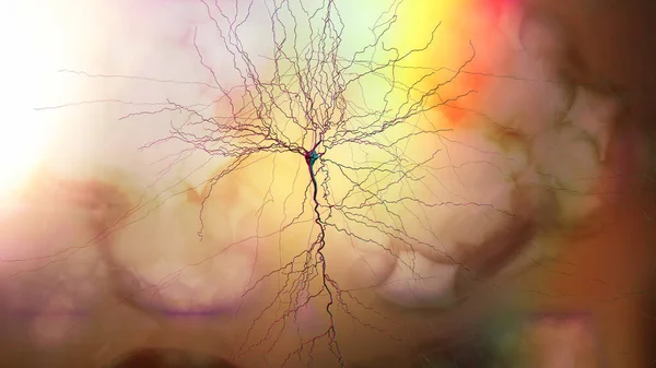 突触连接 使神经元 或神经细胞 向另一个神经元或目标输出细胞传递电或化学信号的结构 神经紧张系统 3D渲染 — 图库照片