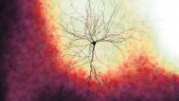 突触连接 使神经元 或神经细胞 向另一个神经元或目标输出细胞传递电或化学信号的结构 神经紧张系统 3D渲染 — 图库照片