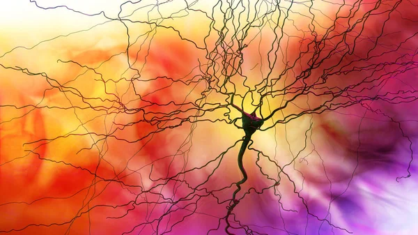 Synapse Connections Structure Permits Neuron Nerve Cell Pass Electrical Chemical — Stockfoto