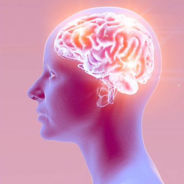 Sinir bağlantıları. Bir nöronun (veya sinir hücresinin) başka bir nörona ya da hedef hücreye elektriksel ya da kimyasal sinyal iletmesini sağlayan yapı. Sinir sistemi. Beyin. 3D görüntüleme. Yüz, kenar görünüm
