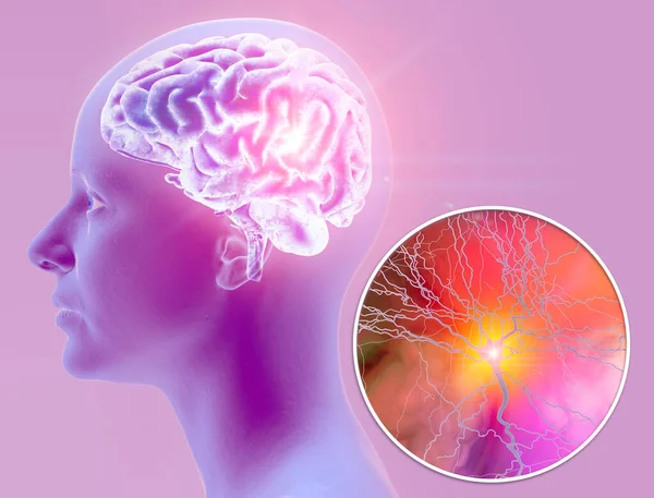 Sinir Bağlantıları Bir Nöronun Veya Sinir Hücresinin Başka Bir Nörona — Stok fotoğraf