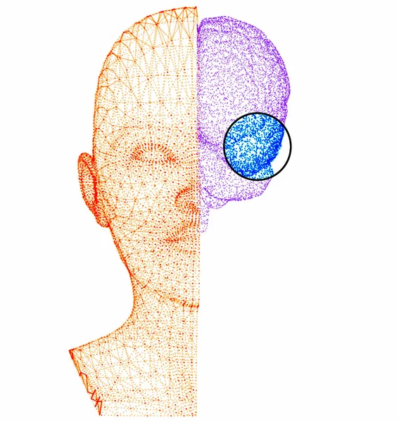 Hoe Hersenen Werken Synapsen Neuronen Verbindingen Zorg Voor Hersenen Stimuli — Stockfoto