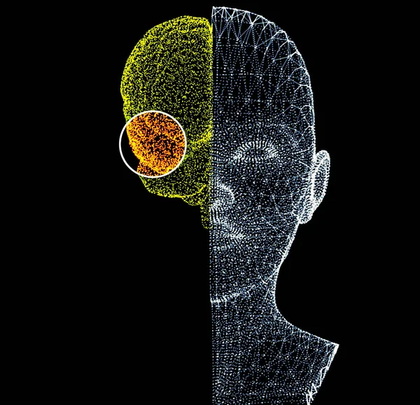 Працює Мозок Синапси Нейрони Єднання Бережіть Свій Мозок Стимули Ідеї — стокове фото