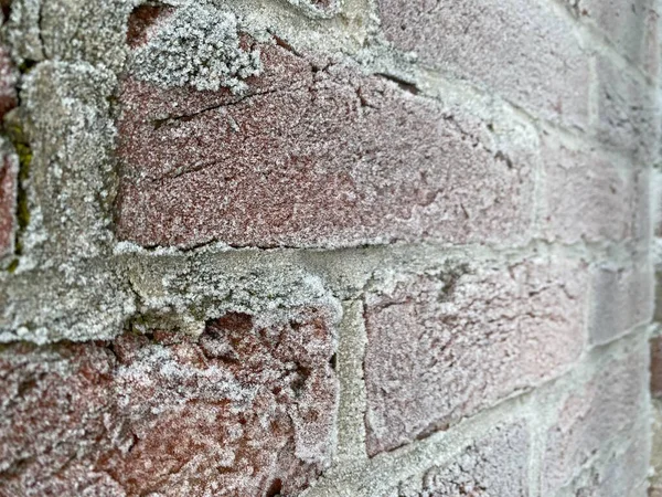 Texture Snowy Red Brick Brick Hoarfrost Background Old Frozen Brick — Photo
