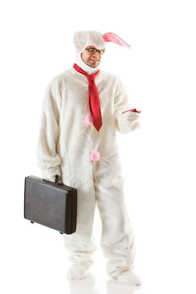 Bunny: Bunny Man leest een SMS-bericht — Stockfoto
