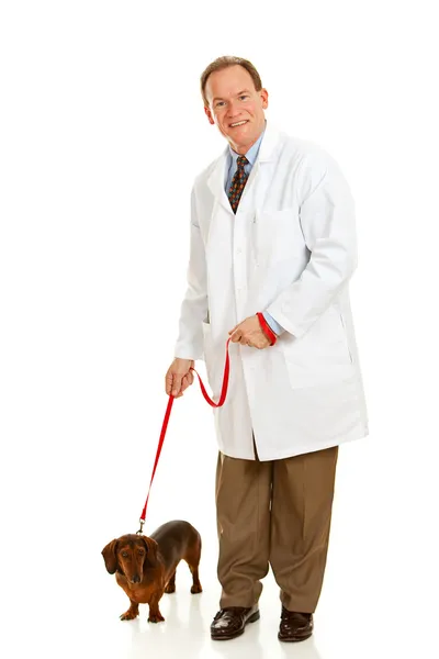 Veterinarian: Vet with Dog on Leash — Stock Photo, Image
