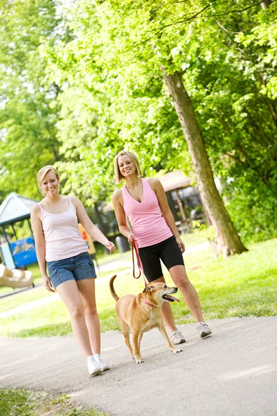 Parque: Mujeres caminando en el parque —  Fotos de Stock