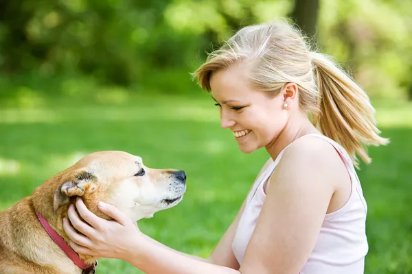 Park: Female Owner Scratches Dog in Ears — Stock Photo, Image
