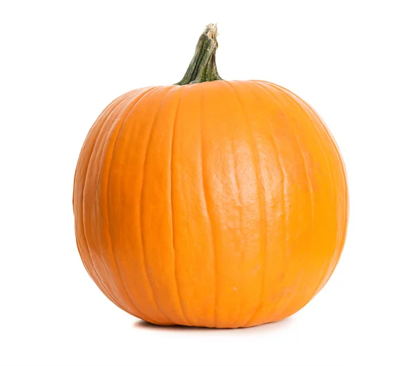 Pumpkin: Single Pumpkin on White — Stock Photo, Image