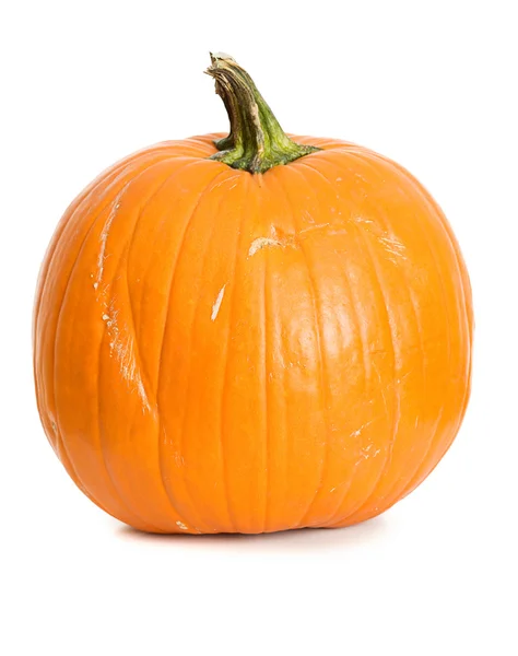 Pumpkin: Single Pumpkin on White — Stock Photo, Image