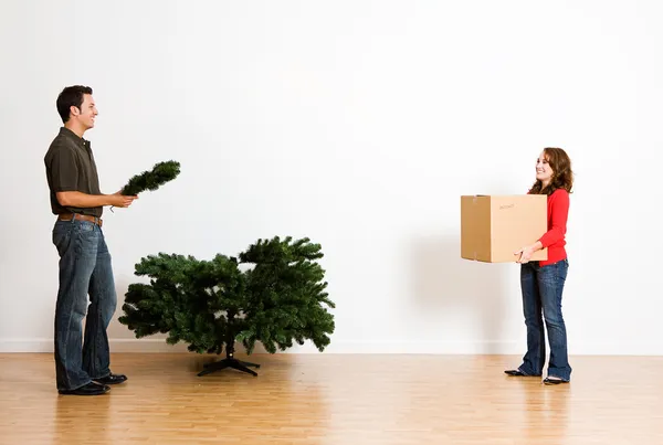 Kerstmis: brengt in vak van ornamenten — Stockfoto