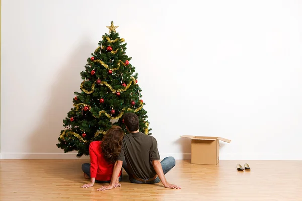 Natal: Sentado e olhando para a árvore acabada — Fotografia de Stock