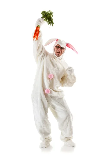 Bunny: bunny man håller massa morötter — Stockfoto