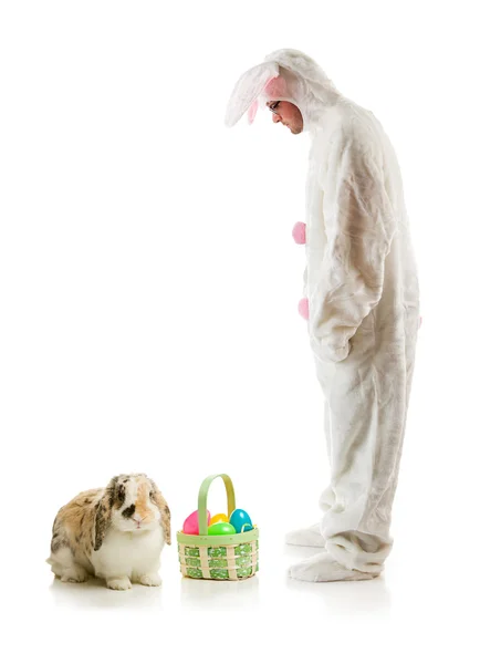 小兔子： 兔子的人跑进真正的复活节小兔子 — 图库照片
