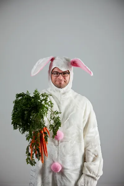 Bunny: Rabbit Holds Bunch of Cenouras Fotos De Bancos De Imagens Sem Royalties