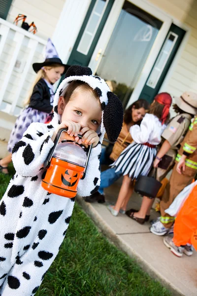 Halloween: roztomilý trik nebo treater s baterkou — Stock fotografie