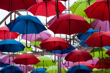 rengarenk şemsiyeler