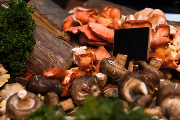 Piyasadaki mantarlar