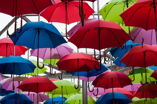 rengarenk şemsiyeler