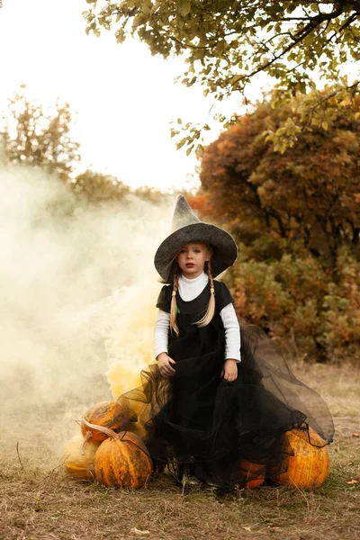 公園でカボチャと小さな魔女 — ストック写真