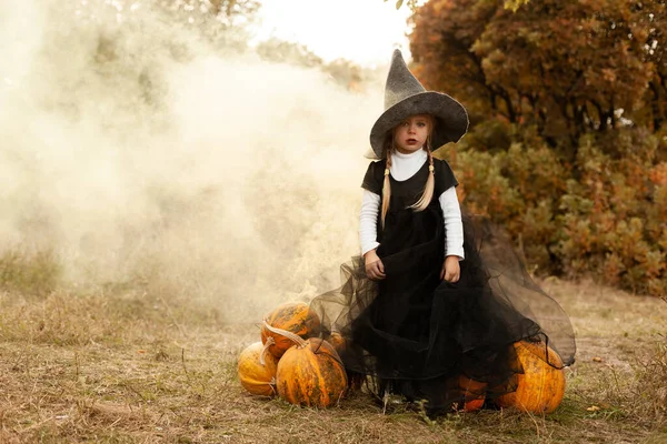 公園でカボチャと小さな魔女 — ストック写真