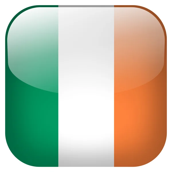 Ireland flag button — Stock Photo, Image