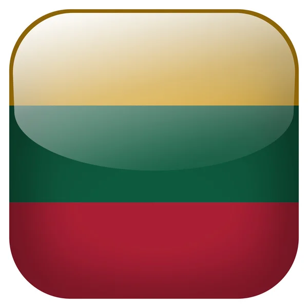 Κουμπί "σημαία" Λιθουανία — Φωτογραφία Αρχείου
