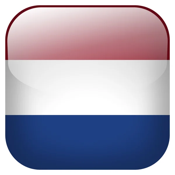 Netherlands flag button — Stock Photo, Image