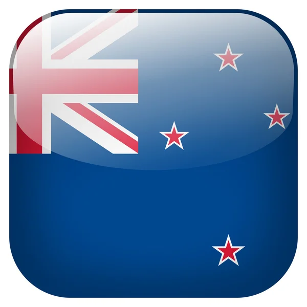 न्यूझीलंड ध्वज बटण — स्टॉक फोटो, इमेज