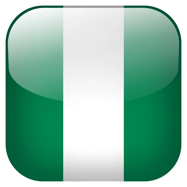 尼日利亚国旗按钮 — 图库照片