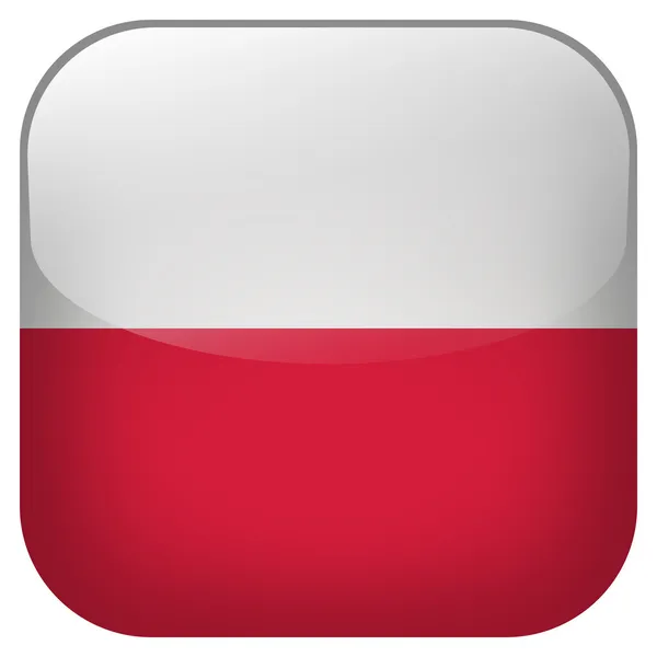 Bouton drapeau Pologne — Photo