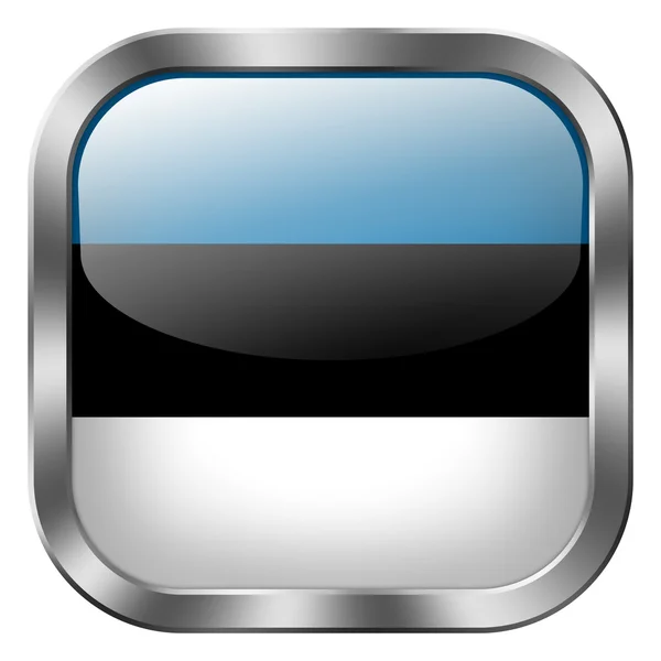 Botón bandera estonia — Foto de Stock