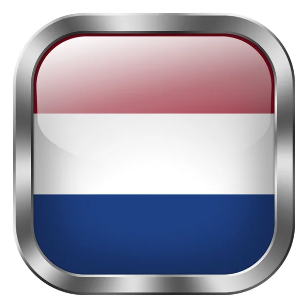 네덜란드 국기 버튼 — 스톡 사진
