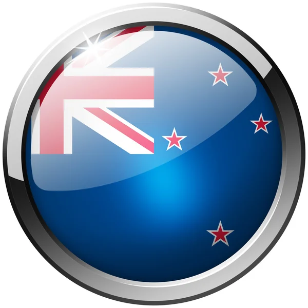新西兰圆金属玻璃按钮 — 图库照片
