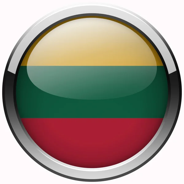 Lithuania flag gel metal button — Stock Photo, Image