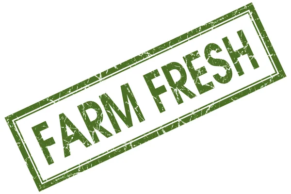 Bauernhof frisch grün quadratisch grungy Stempel isoliert auf weißem Hintergrund — Stockfoto