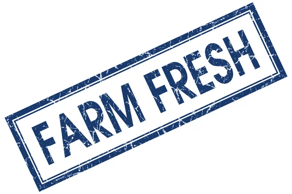 Bauernhof frisch blau quadratisch grungy Stempel isoliert auf weißem Hintergrund — Stockfoto