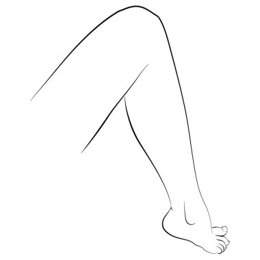 Vector illustration of woman's leg