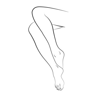 Vector illustration of woman's legs