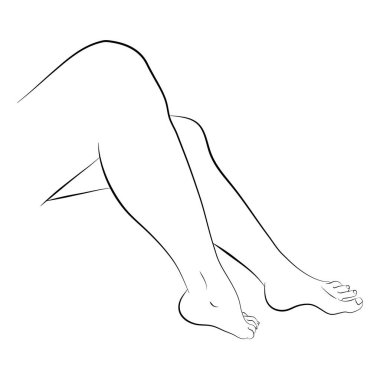 Vector illustration of woman's legs