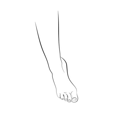 Vector illustration of woman's leg